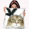 Downton Cat Iv Throw Pillow By World Art Group