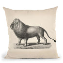 Brodtmann Lion Throw Pillow By World Art Group
