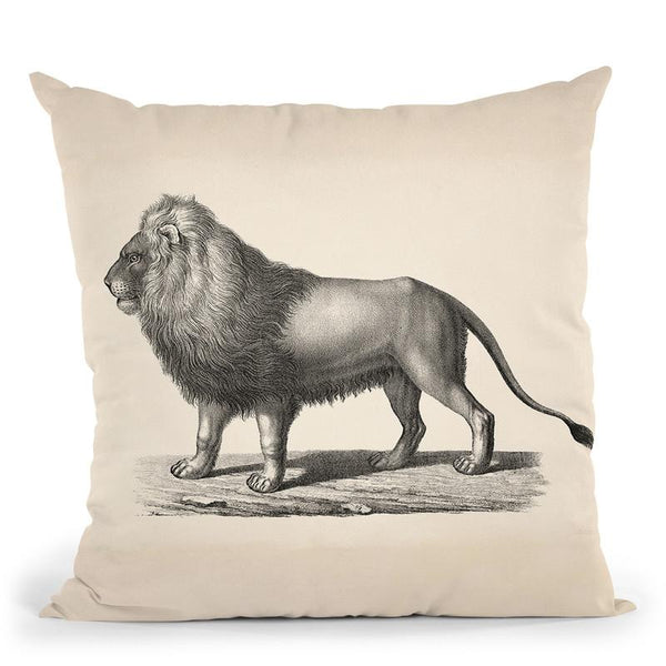 Brodtmann Lion Throw Pillow By World Art Group