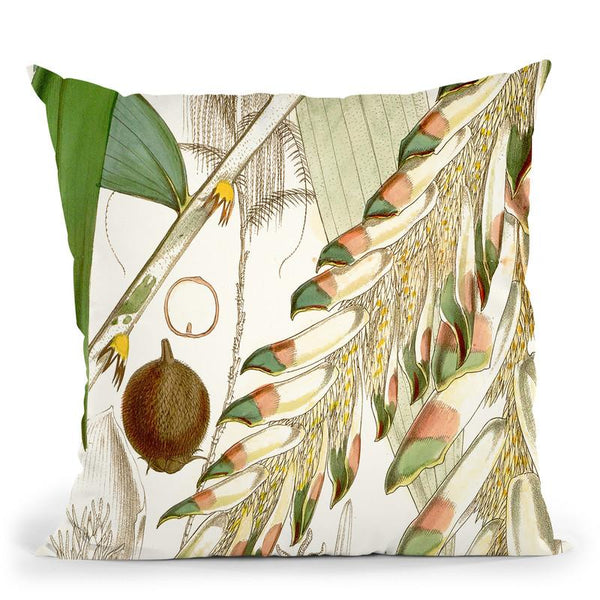 Tropical Variety I Throw Pillow By World Art Group