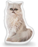 Wilfred Warrior Wilfred Regal Throw Pillow