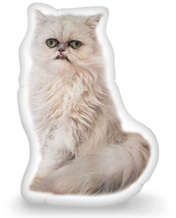 Wilfred Warrior Wilfred Regal Throw Pillow