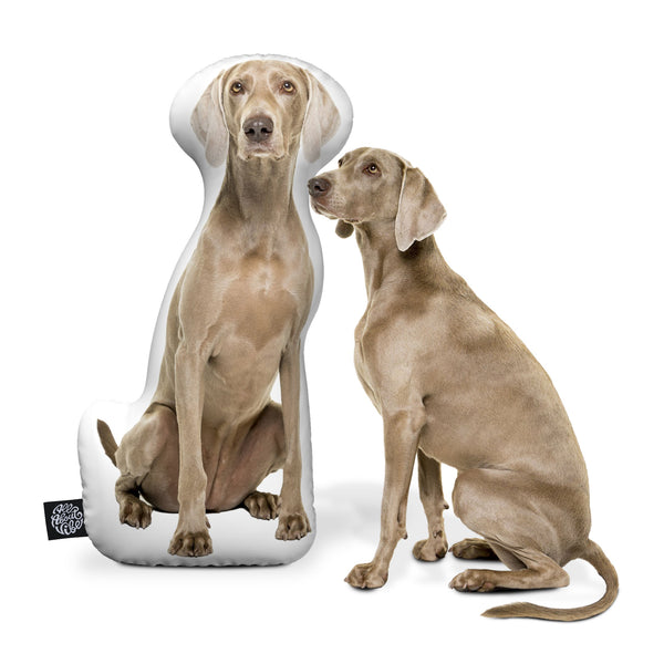 Personalized Weimaraner Pillow