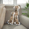 Personalized Weimaraner Pillow