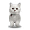 Nala Cat Straight On Throw Pillow