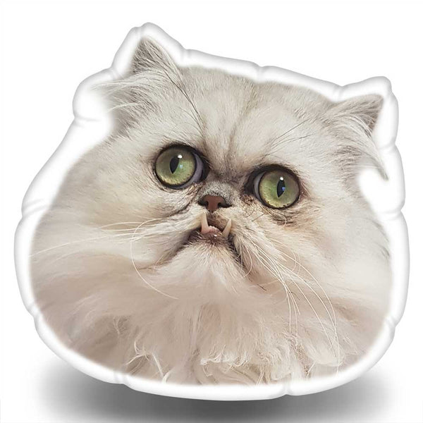 Wilfred Warrior Cute Throw Pillow