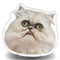 Wilfred Warrior Cute Throw Pillow