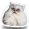Wilfred Warrior Sideways Look Throw Pillow