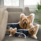 Personalized Yorkshire Terrier Pillow