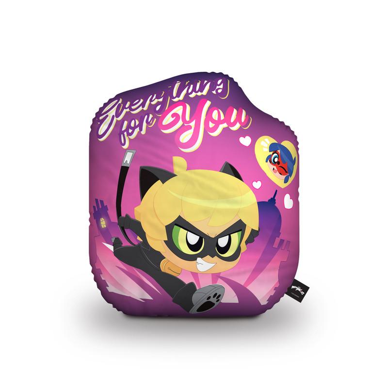 Ladybug Cat Noir Everything For You Throw Pillow By Miraculous