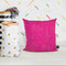 Ladybug Cat Noir Throw Pillow By Miraculous