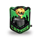 Cat Noir III Throw Pillow By Miraculous