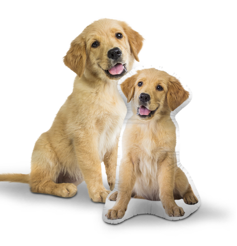 Custom Dog Pillow