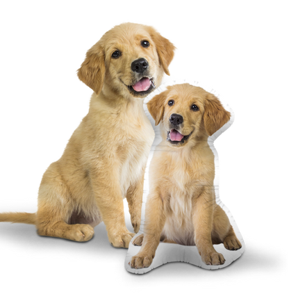 Custom Dog Pillow
