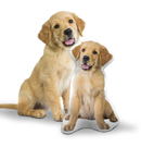 Custom Dog Pillow
