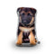 German Shepherd Throw Pillow By All About Vibe