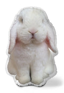 Very Fat Rabbit Sitting Throw Pillow