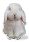 Very Fat Rabbit Sitting Throw Pillow