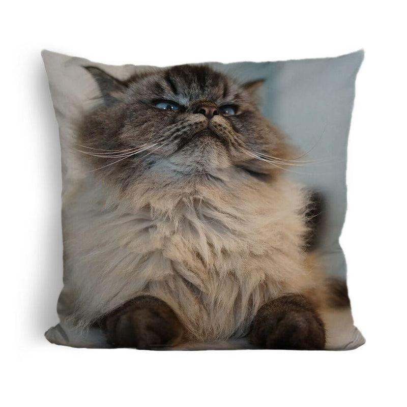 Merlin Sleeping Is My Time Machine To Breakfast Throw Pillow