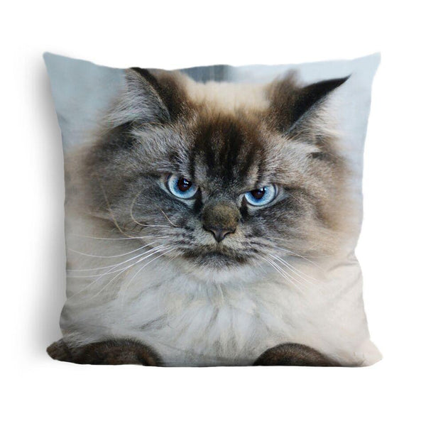 Merlin Take A Nap I Dare You Throw Pillow