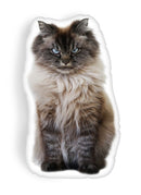 Merlin U Woke Me Up, For That Throw Pillow