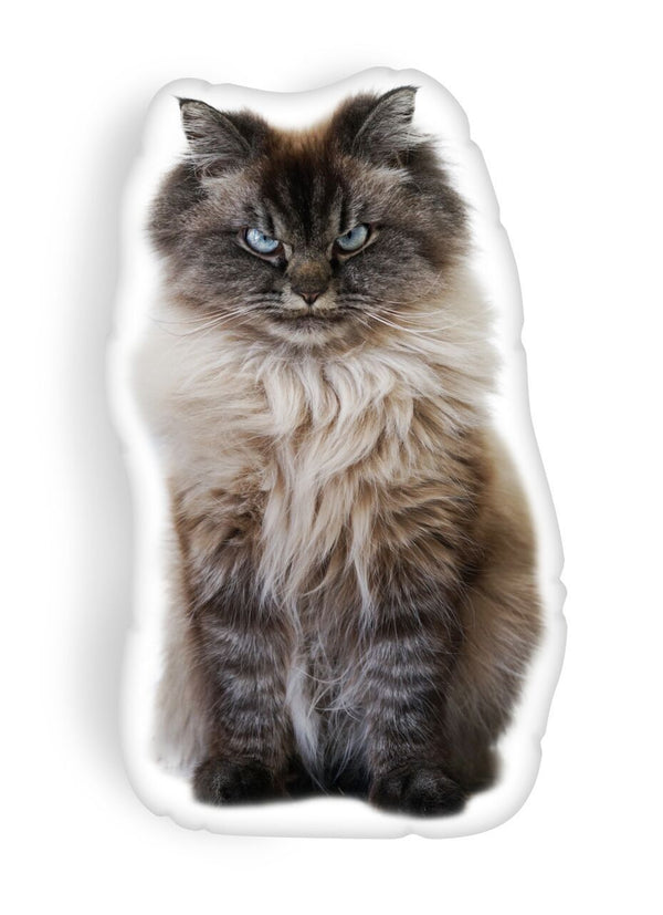 Merlin U Woke Me Up, For That Throw Pillow
