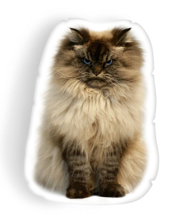 Merlin Wake Up Call Throw Pillow