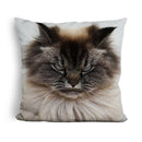 Merlin I Eat Nightmares For Breakfast Throw Pillow