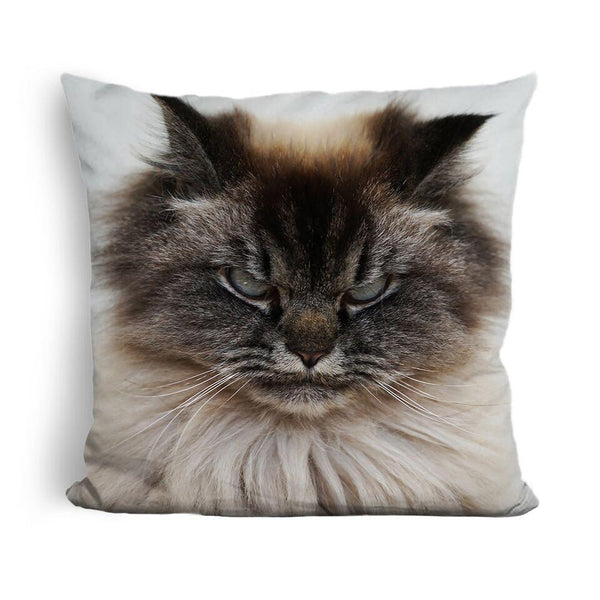 Merlin I Eat Nightmares For Breakfast Throw Pillow