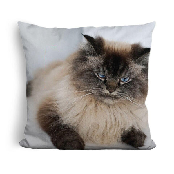 Merlin Less Talk More Sleepuare Throw Pillow