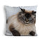Merlin Less Talk More Sleepuare Throw Pillow