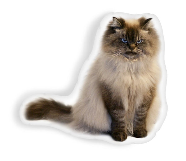 Merlin No Rest For The Wickedaped Throw Pillow