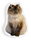 Merlin Sleep Is For The Weakaped Throw Pillow