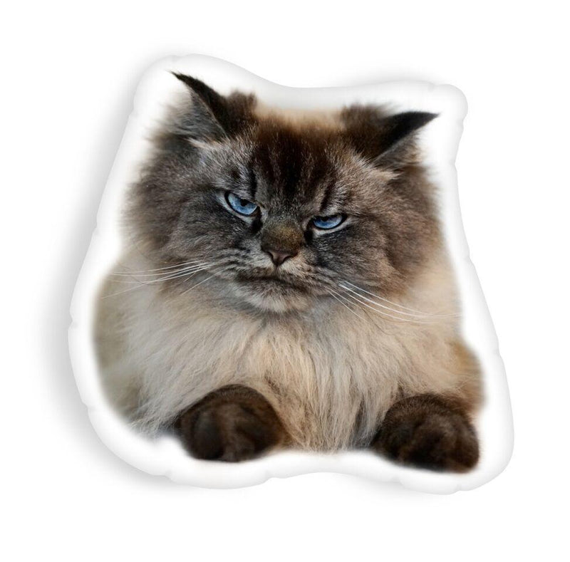 Merlin Sleep With One Eye Openaped Throw Pillow