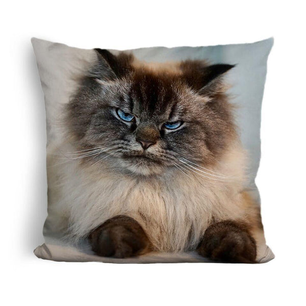 Merlin Sleep With One Eye Openuare Throw Pillow