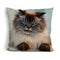 Merlin Sleep With One Eye Openuare Throw Pillow