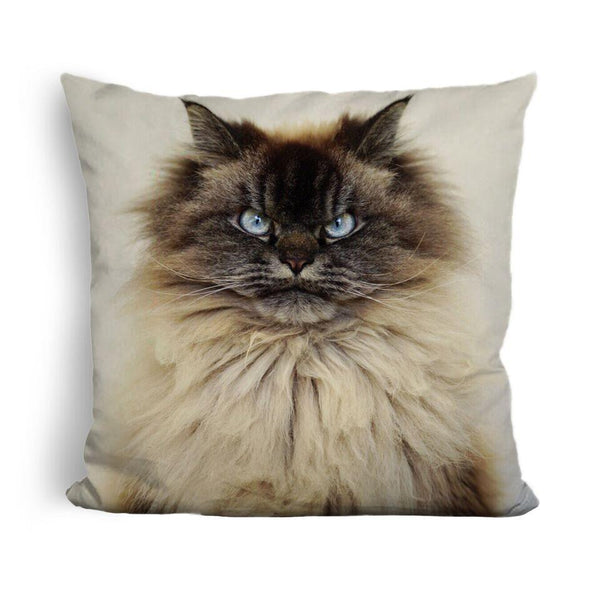 Merlin Sleeping Is Exhaustinguare Throw Pillow