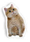 Hosico Can I Have A Treataped Throw Pillow