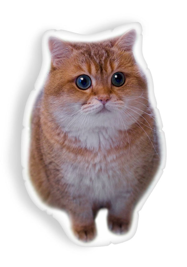 Hosico Smelling Foodaped Throw Pillow