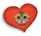 Hosico With Heart Headaped Throw Pillow