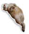 Hosico Sun Bathingaped Throw Pillow