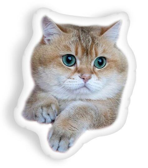 Hosico Just Hang In Thereaped Throw Pillow