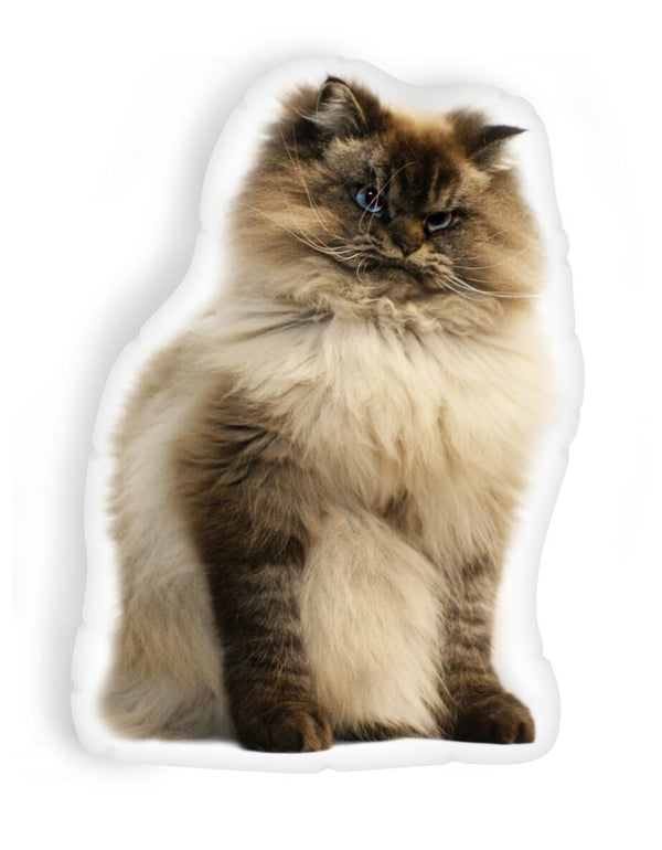 Merlin Do No Disturb Throw Pillow