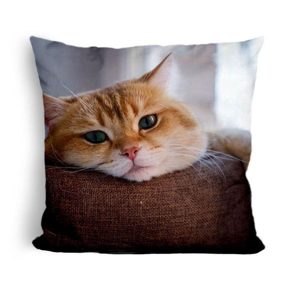 Hosico Unimpresseduare Throw Pillow