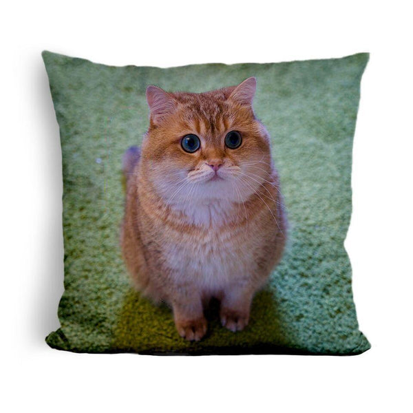 Hosico Smelling Fooduare Throw Pillow