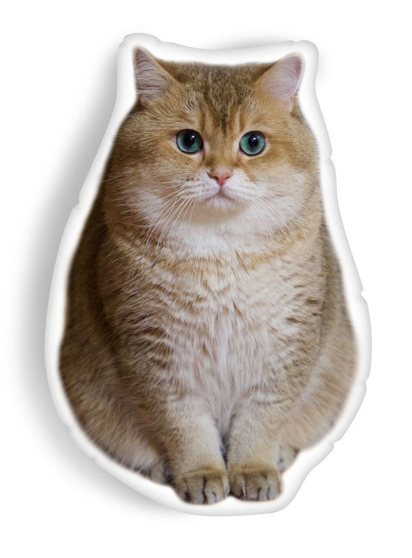 Hosico Cat Modelaped Throw Pillow
