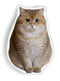 Hosico Cat Modelaped Throw Pillow