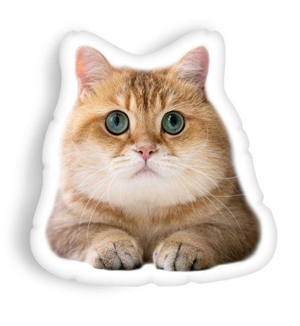 Hosico Star Gazedaped Throw Pillow