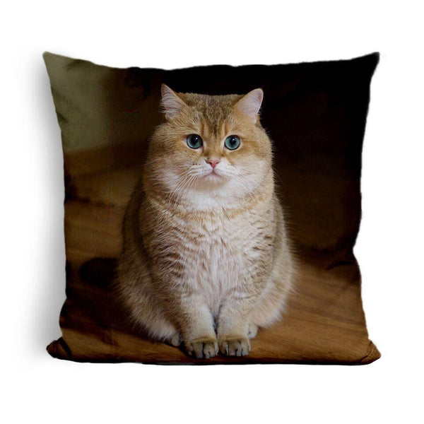 Hosico Cat Modeluare Throw Pillow