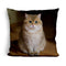 Hosico Cat Modeluare Throw Pillow